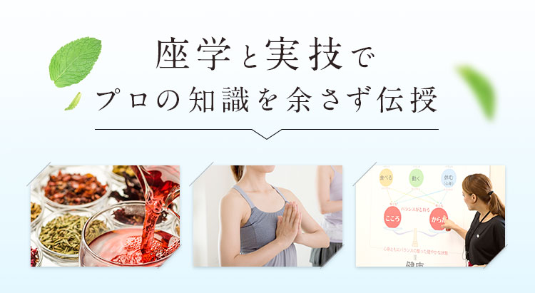 座学と実技でプロの知識を余さず伝授